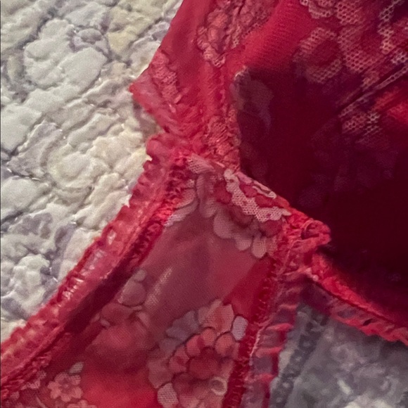 Freya Red and Pink Lace Bra Set - Picture 6 of 16